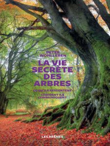 La-vie-secrete-des-arbres