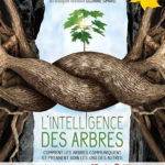 L'intelligence des arbres