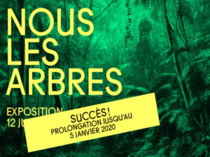 Home-site_Nous-les-arbres_prolongtion