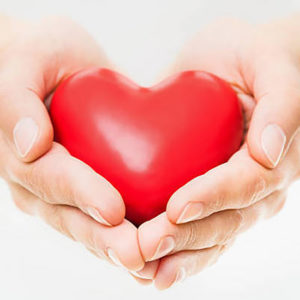 Female Hands presenting a red heart.