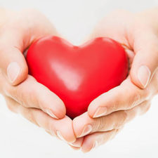 Female Hands presenting a red heart.